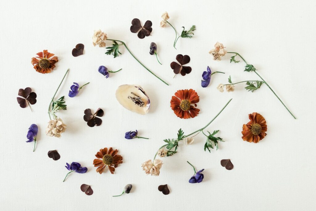 μυρωδιά-ντουλάπα-muse