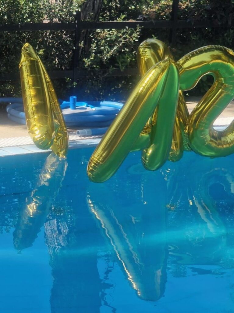 Οι δραστηριότητες από το πάρτι τοu Αρίωνα, του γιου της Τζένης Θεωνά και του Δήμου Αναστασιάδη.