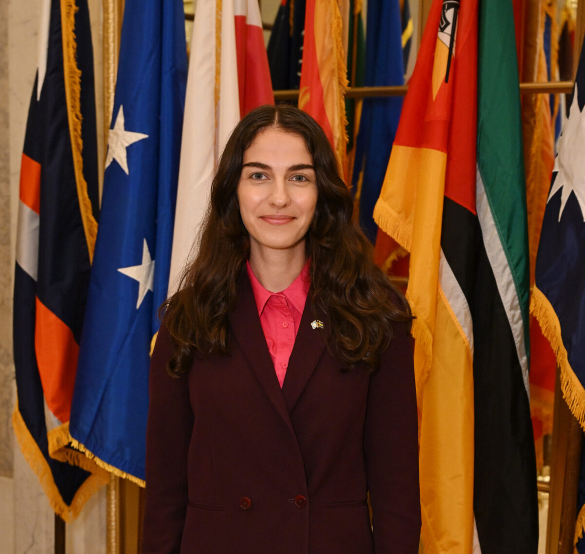 Romina Pourmokhtari