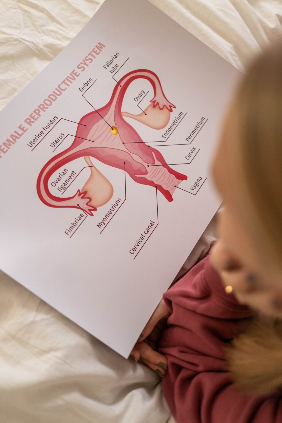 Hormonal literacy: Πόσα πραγματικά ξέρουμε για τον εμμηνορροϊκό κύκλο μας – και γιατί κανείς δεν μας τα έμαθε;