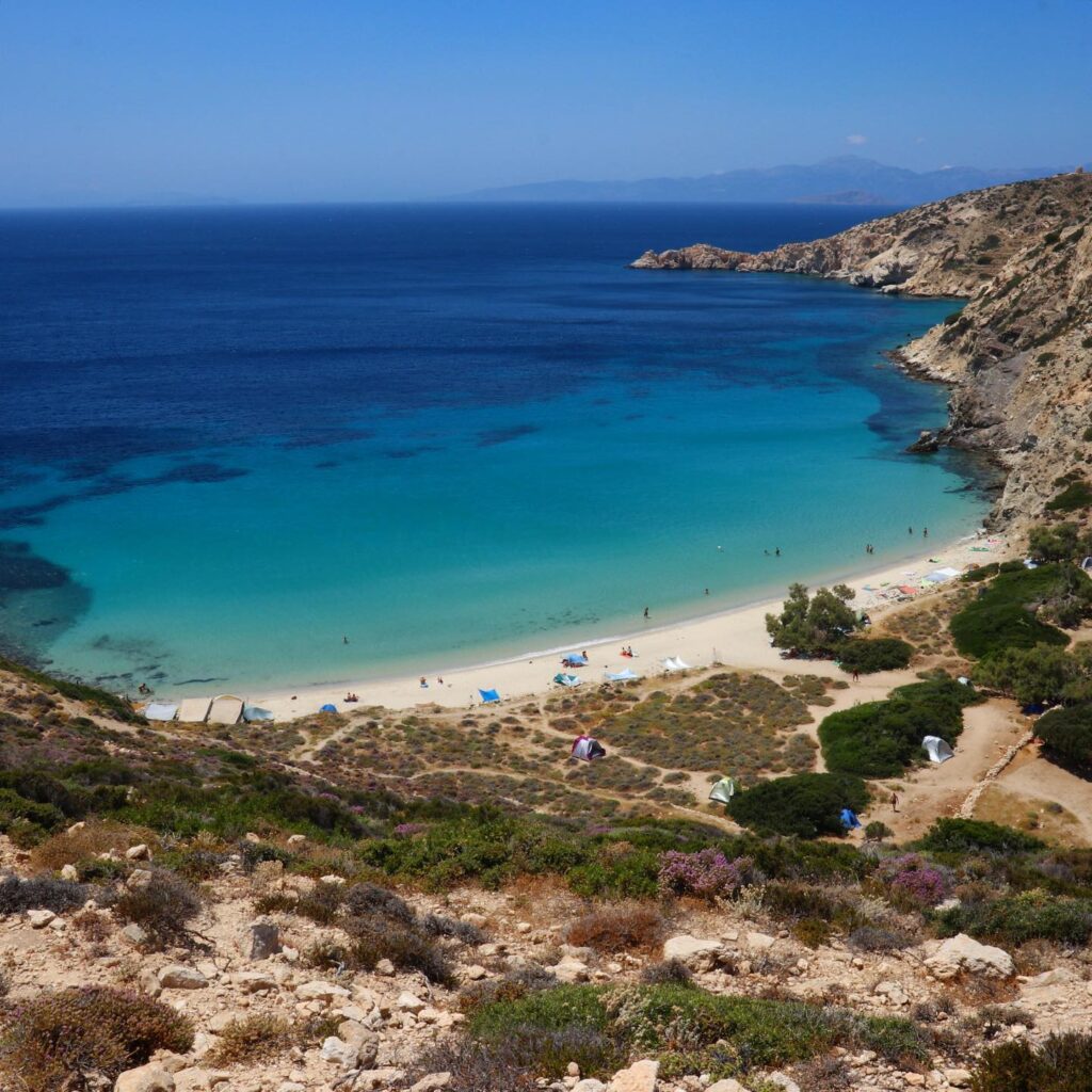 Λιβάδι. Δονούσα