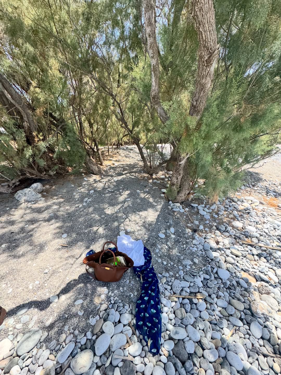 Η Δανάη Μπάρκα