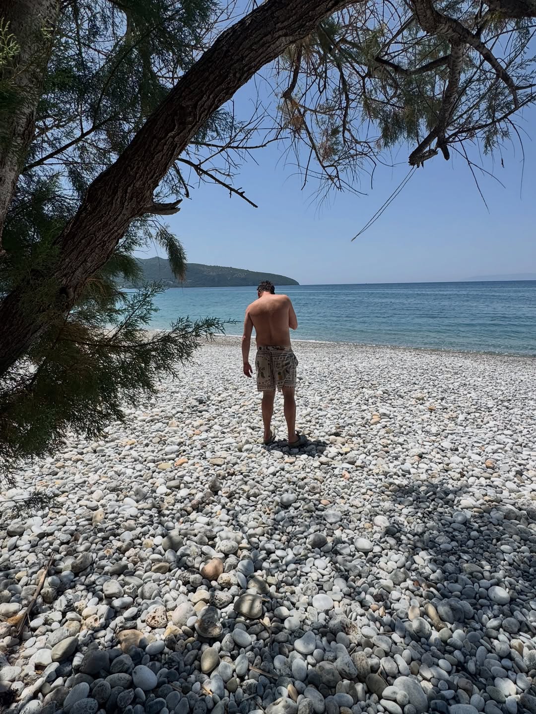 Ο Φάνης Μπότσης