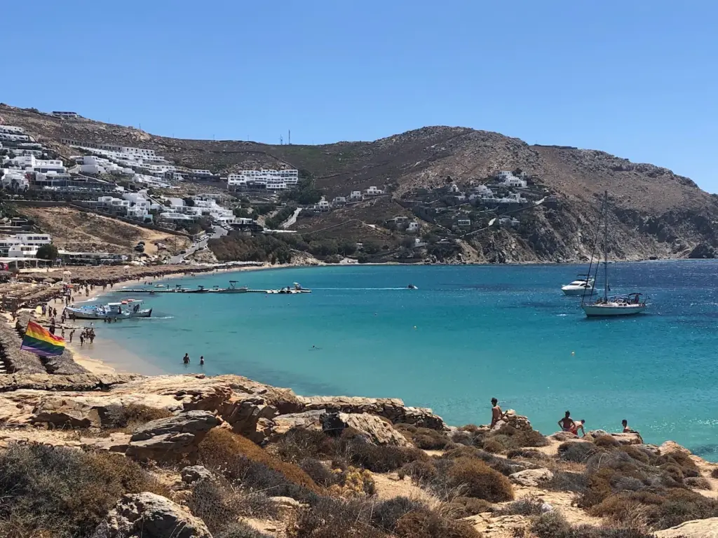 Ελιά, Μύκονος