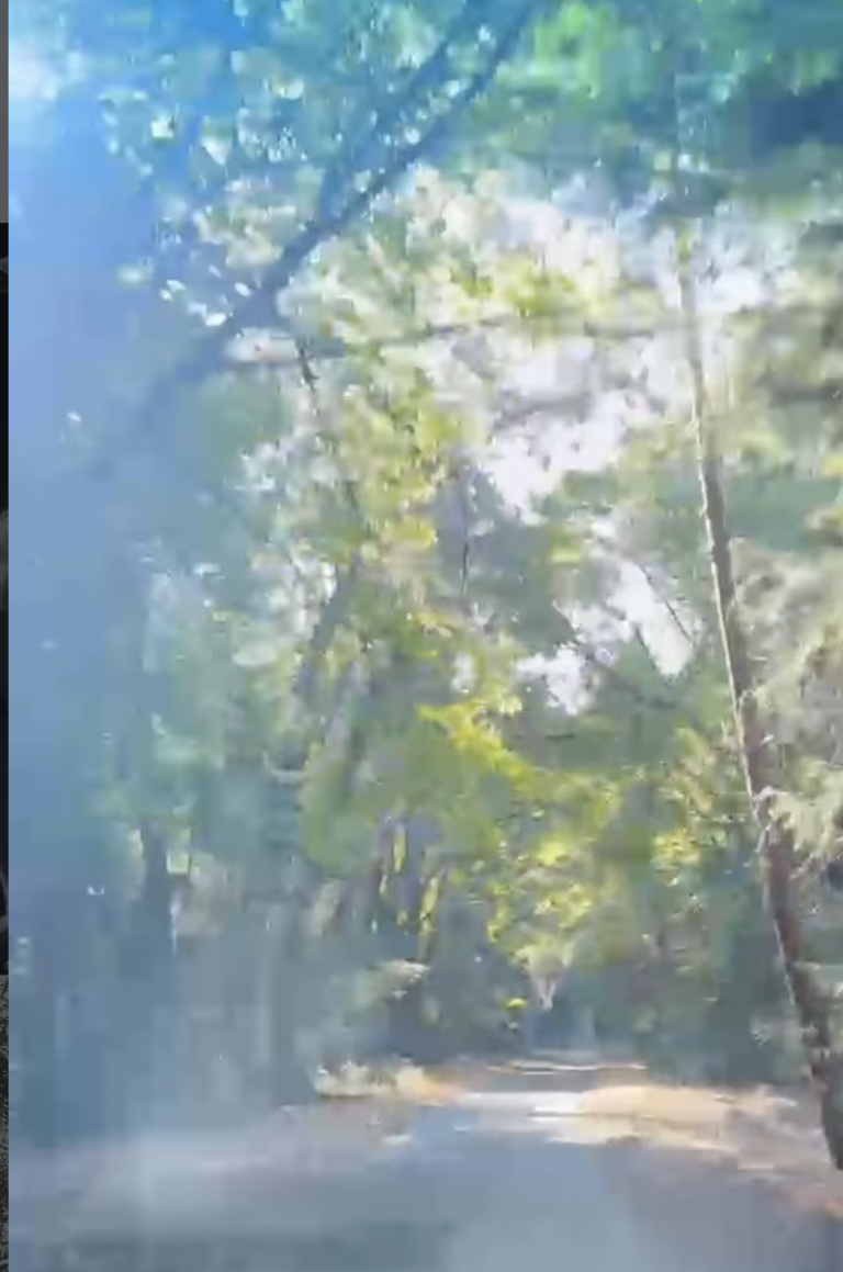 Στιγμιότυπο οθόνης 2026-09-15, 12.11.51 μμ