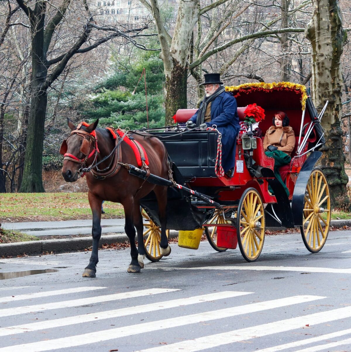 Άμαξα στο Central Park